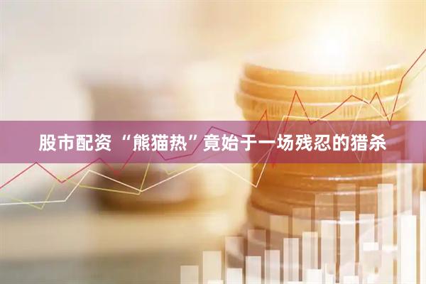 股市配资 “熊猫热”竟始于一场残忍的猎杀