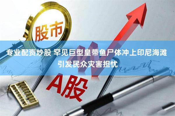 专业配资炒股 罕见巨型皇带鱼尸体冲上印尼海滩 引发民众灾害担忧